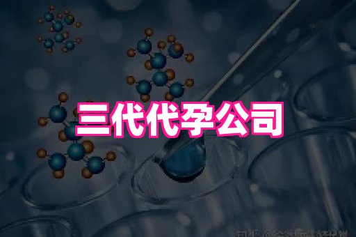 海口助孕网站 1