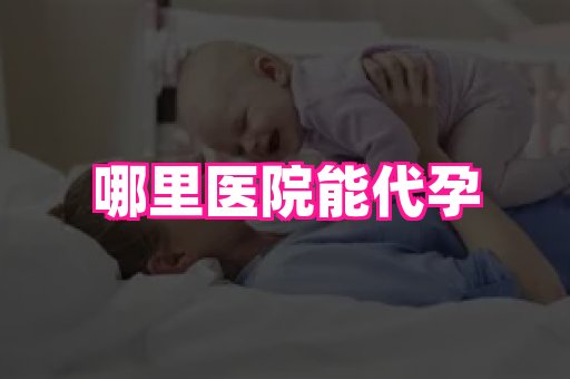 海口助孕网站 2