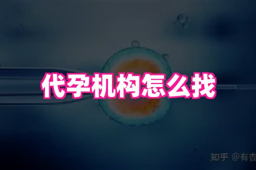 海口助孕网站 3
