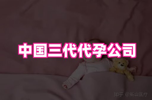 海口助孕网站 4